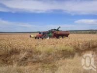<span class="caption-caption">Sorghum harvester, Emerald Shire</span>, 2009. <br />Digital image, collection of <span class="caption-contributor">Centre for the Government of Queensland MS</span>.