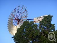 <span class="caption-caption">Comet windmill, Barcaldine, 27 feet across</span>, 2009. <br />Digital image, collection of <span class="caption-contributor">Centre for the Government of Queensland MS</span>.