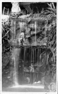 <span class="caption-caption">Cascades Tea Gardens, Indooroopilly,  Brisbane</span>, c1930s-c1940s. <br />Photographic collection, <span class="caption-contributor">Queensland State Archives</span>.