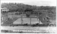 <span class="caption-caption">Tennis at Laguna Guest House Noosa Heads</span>, c1930s-c1940s. <br />Photographic collection, <span class="caption-contributor">Queensland State Archives</span>.