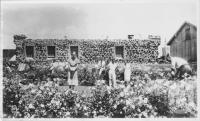 <span class="caption-caption">Lake Eacham Hotel, Yungaburra</span>, c1930s-c1940s. <br />Photographic collection, <span class="caption-contributor">Queensland State Archives</span>.