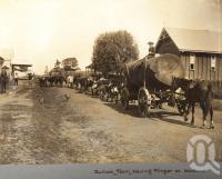<span class="caption-caption">Bullock team hauling timber at Lowood</span>, date unknown. <br />Photograph, collection of <span class="caption-contributor">Mobsby Collection, Fryer Library, UQ</span>.