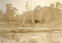 <span class="caption-caption">Cattle Creek, Finch Hatton</span>, 1900-1915. <br />Photograph, collection of <span class="caption-contributor">JC Smith Collection, Fryer Library, UQ</span>.