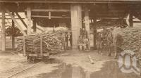 <span class="caption-caption">The carriers at the sugar mill, Mossman</span>, 1900-1915. <br />Photograph, collection of <span class="caption-contributor">JC Smith Collection, Fryer Library, UQ</span>.