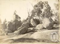 <span class="caption-caption">Stanthorpe</span>, 1900. <br />Photograph, collection of <span class="caption-contributor">JC Smith Collection, Fryer Library, UQ</span>.