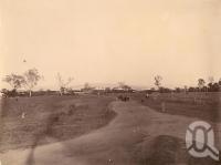 <span class="caption-caption">Entrance to Ingham</span>, 1891. <br />Photograph, collection of <span class="caption-contributor">Richardson Collection, Fryer Library, UQ</span>.