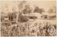<span class="caption-caption">Mount Morgan</span>, 1893. <br />Photograph, collection of <span class="caption-contributor">Richardson Collection, Fryer Library, UQ</span>.