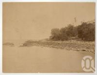 <span class="caption-caption">Pilot Station Port Douglas</span>, 1890. <br />Photograph, collection of <span class="caption-contributor">Richardson Collection, Fryer Library, UQ</span>.