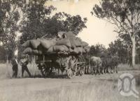 <span class="caption-caption">Load of cotton, 48 cwt, to Wowan</span>, 1921-1922. <br />Photograph, collection of <span class="caption-contributor">Gillies Collection, Fryer Library, UQ</span>.