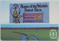 <span class="caption-caption">Burdekin Rice Fields</span>, c1970-2000. <br />Postcard, collection of <span class="caption-contributor">Murray Views Collection</span>.