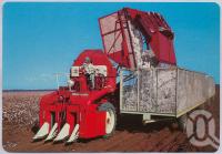 <span class="caption-caption">Cotton Centre of Queensland, Dawson - Callide Valley</span>, c1970-2000. <br />Postcard, collection of <span class="caption-contributor">Murray Views Collection</span>.
