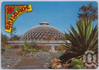 <span class="caption-caption">Botanic Gardens, Mount Coot-tha</span>, c1970-2000. <br />Postcard, collection of <span class="caption-contributor">Murray Views Collection</span>.