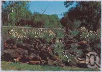 <span class="caption-caption">Brookvale Park, Darling Downs</span>, c1970-2000. <br />Postcard, collection of <span class="caption-contributor">Murray Views Collection</span>.