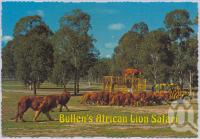 <span class="caption-caption">Bullens African Lion Park and Zoo, Yatala</span>, c1970-2000. <br />Postcard, collection of <span class="caption-contributor">Murray Views Collection</span>.