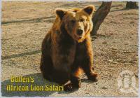 <span class="caption-caption">Bullens African Lion Park and Zoo, Yatala</span>, c1970-2000. <br />Postcard, collection of <span class="caption-contributor">Murray Views Collection</span>.