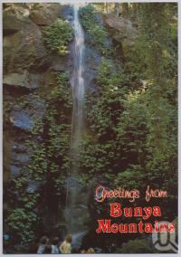 <span class="caption-caption">Festoon Falls, Saddletree Creek, Bunya Mountsins</span>, c1970-2000. <br />Postcard, collection of <span class="caption-contributor">Murray Views Collection</span>.