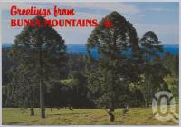 <span class="caption-caption">Dandabah Holiday Units, Bunya Mountains</span>, c1970-2000. <br />Postcard, collection of <span class="caption-contributor">Murray Views Collection</span>.