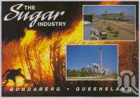 <span class="caption-caption">Sugar Cane, Bundaberg</span>, c1970-2000. <br />Postcard, collection of <span class="caption-contributor">Murray Views Collection</span>.