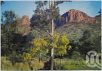 <span class="caption-caption">Virgin Rock, Central Highlands</span>, c1970-2000. <br />Postcard, collection of <span class="caption-contributor">Murray Views Collection</span>.