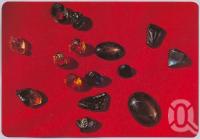 <span class="caption-caption">A Collection of Gems, Sapphire Fields</span>, c1970-2000. <br />Postcard, collection of <span class="caption-contributor">Murray Views Collection</span>.