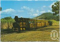 <span class="caption-caption">Tourists exploring the sugar fields in the comfort of the historic Ballyhooley Steam Express, Mossman Central Mill</span>, c1970-2000. <br />Postcard, collection of <span class="caption-contributor">Murray Views Collection</span>.