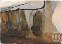 <span class="caption-caption">Column in organ chamber, Royal Arch Cave, Chillagoe</span>, c1970-2000. <br />Postcard, collection of <span class="caption-contributor">Murray Views Collection</span>.