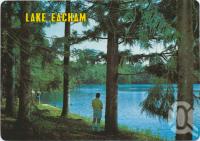 <span class="caption-caption">Glimpse of lake through pines, Lake Eacham, Atherton Tableland</span>, c1970-2000. <br />Postcard, collection of <span class="caption-contributor">Murray Views Collection</span>.