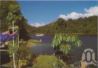 <span class="caption-caption">Cruising the hidden rainforested bays of Lake Barrine National Park</span>, c1970-2000. <br />Postcard, collection of <span class="caption-contributor">Murray Views Collection</span>.