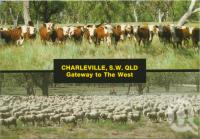 <span class="caption-caption">Gateway to the West, Cattle-Sheep, Charleville</span>, c1970-2000. <br />Postcard, collection of <span class="caption-contributor">Murray Views Collection</span>.