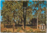 <span class="caption-caption">Steiger-Vortex Rainmaker Gun, Charleville</span>, c1970-2000. <br />Postcard, collection of <span class="caption-contributor">Murray Views Collection</span>.
