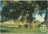 <span class="caption-caption">Centenary Park, Cunnamulla</span>, c1970-2000. <br />Postcard, collection of <span class="caption-contributor">Murray Views Collection</span>.