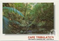 <span class="caption-caption">A peaceful stream makes its way through the green foliage of the Cape Tribulation rainforest</span>, c1970-2000. <br />Postcard, collection of <span class="caption-contributor">Murray Views Collection</span>.