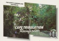 <span class="caption-caption">The lush dense rainforest of Cape Tribulation</span>, c1970-2000. <br />Postcard, collection of <span class="caption-contributor">Murray Views Collection</span>.