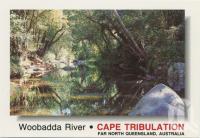 <span class="caption-caption">The cool clear water of Woobadda Creek and the rainforest trees and shrubs make for a tranquil scene, Woobadda River, Cape Tribulation</span>, c1970-2000. <br />Postcard, collection of <span class="caption-contributor">Murray Views Collection</span>.