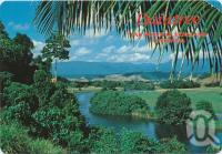 <span class="caption-caption">Daintree River in rainforest setting</span>, c1970-2000. <br />Postcard, collection of <span class="caption-contributor">Murray Views Collection</span>.