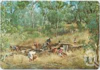 <span class="caption-caption">Rubyvale, sapphire country</span>, c1970-2000. <br />Postcard, collection of <span class="caption-contributor">Murray Views Collection</span>.
