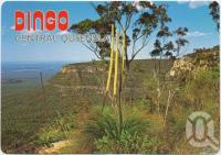 <span class="caption-caption">Dingo, Dingo's National Park, The Blackdown Tablelands</span>, c1970-2000. <br />Postcard, collection of <span class="caption-contributor">Murray Views Collection</span>.