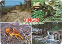 <span class="caption-caption">Dingo</span>, c1970-2000. <br />Postcard, collection of <span class="caption-contributor">Murray Views Collection</span>.