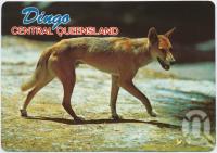 <span class="caption-caption">Dingo, departure point for Blackdown Tableland National Park</span>, c1970-2000. <br />Postcard, collection of <span class="caption-contributor">Murray Views Collection</span>.