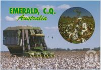 <span class="caption-caption">Cotton harvesting in the Emerald District</span>, c1970-2000. <br />Postcard, collection of <span class="caption-contributor">Murray Views Collection</span>.