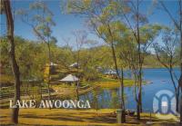 <span class="caption-caption">Awoonga Dam (Picnic Area), Benarby</span>, c1970-2000. <br />Postcard, collection of <span class="caption-contributor">Murray Views Collection</span>.