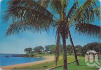 <span class="caption-caption">Coconut palms, Barney Point Beach, Gladstone</span>, c1970-2000. <br />Postcard, collection of <span class="caption-contributor">Murray Views Collection</span>.
