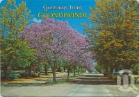<span class="caption-caption">Springtime, Herbert Street, Goondiwindi</span>, c1970-2000. <br />Postcard, collection of <span class="caption-contributor">Murray Views Collection</span>.