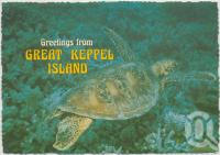 <span class="caption-caption">Turtle, Great Keppel Island</span>, c1970-2000. <br />Postcard, collection of <span class="caption-contributor">Murray Views Collection</span>.
