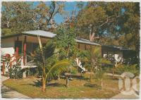 <span class="caption-caption">Colonial Unit Guests Accommodation nesting among the trees at TAA's Great Keppel Island Resort</span>, c1970-2000. <br />Postcard, collection of <span class="caption-contributor">Murray Views Collection</span>.