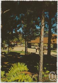 <span class="caption-caption">Looking towards Reception and the pool, Great Keppel Island</span>, c1970-2000. <br />Postcard, collection of <span class="caption-contributor">Murray Views Collection</span>.