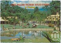 <span class="caption-caption">The Palms Horse Stud, Nerang, Gold Coast, only 10 kms from Surfers Paradise</span>, c1970-2000. <br />Postcard, collection of <span class="caption-contributor">Murray Views Collection</span>.