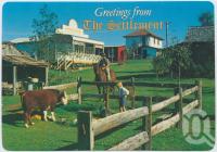 <span class="caption-caption">Pumping water at the Settlement Well, The Settlement, Springbrook</span>, c1970-2000. <br />Postcard, collection of <span class="caption-contributor">Murray Views Collection</span>.