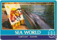 <span class="caption-caption">Leia one of Sea World's Bottlenosed Dolphins produces another masterpiece</span>, c1970-2000. <br />Postcard, collection of <span class="caption-contributor">Murray Views Collection</span>.