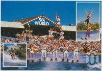 <span class="caption-caption">Sea World, Gold Coast</span>, c1970-2000. <br />Postcard, collection of <span class="caption-contributor">Murray Views Collection</span>.